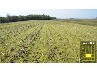 Property photo 40 - Land Auction 1035 Acres In 16 tracts - Farm Land - Sullivan Co. Indiana & Clark Co., Illinois